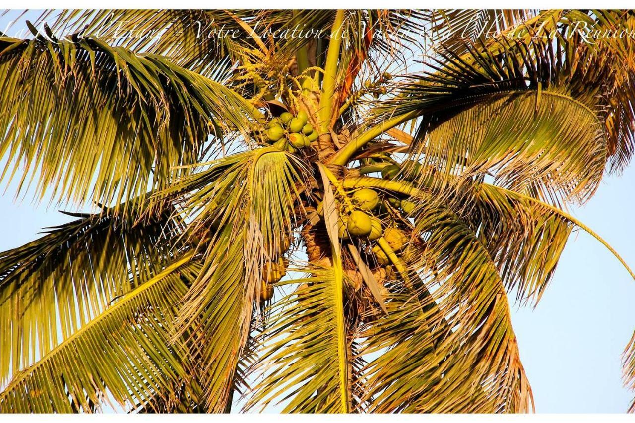 La Kaz A L'Etang - Votre Location De Vacances A L'Ile De La Reunion Saint-Louis Bagian luar foto