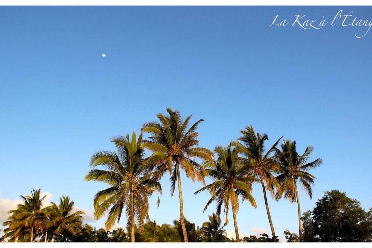 La Kaz A L'Etang - Votre Location De Vacances A L'Ile De La Reunion Saint-Louis Bagian luar foto